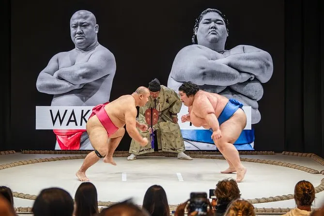 Tourists wearing mawashi on a sacred professional dohyo at an authentic sumo show in Osaka