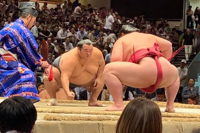 Professional sumo wrestlers in tournament stance on the dohyo — the level of competition you observe during asageiko